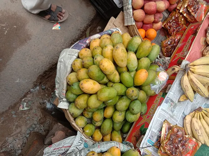 fresh fruit market