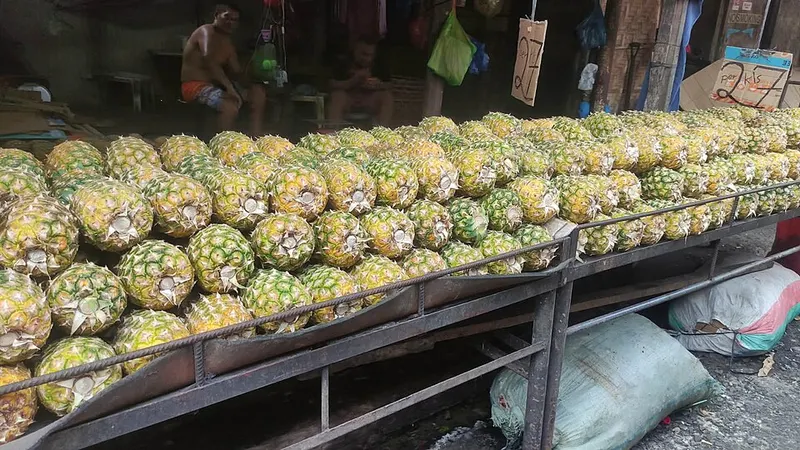 fresh fruit market