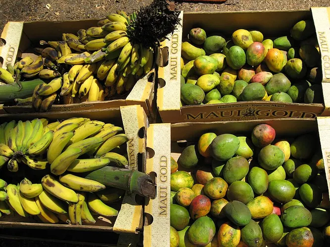fresh fruit market