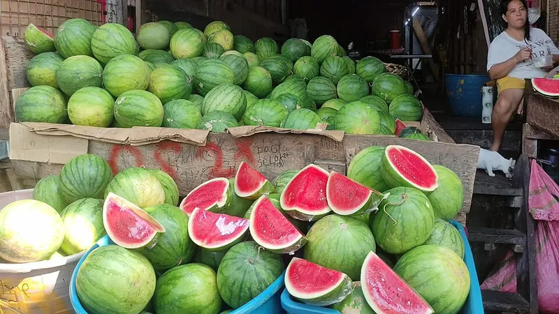 fresh fruit market