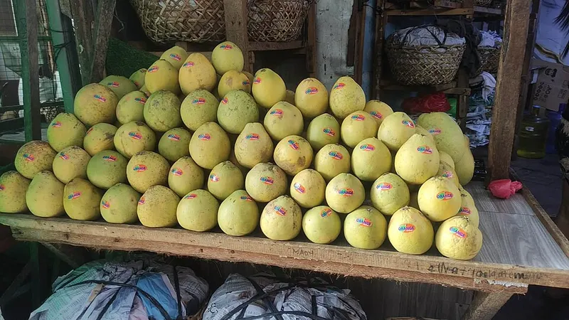 fresh fruit market