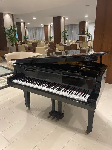 piano instrument