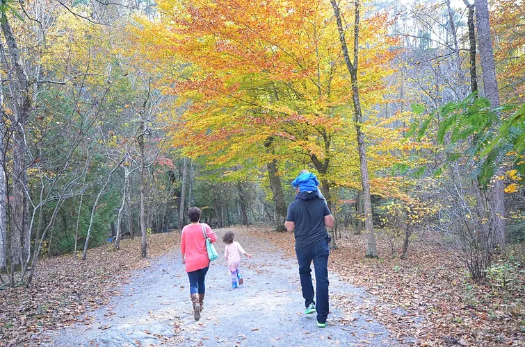 family walking park