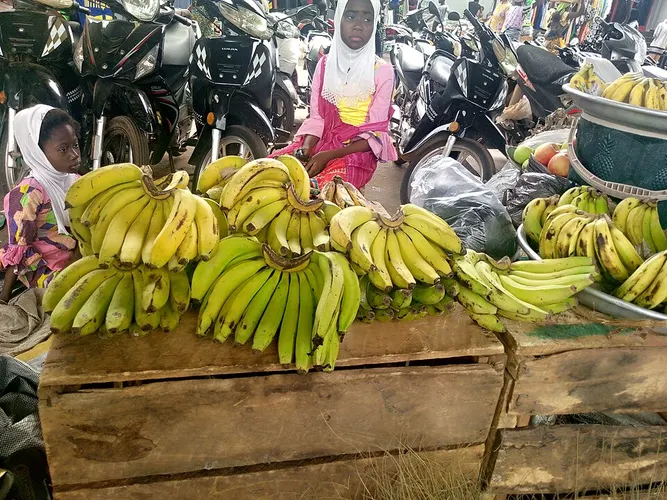 fresh fruit market