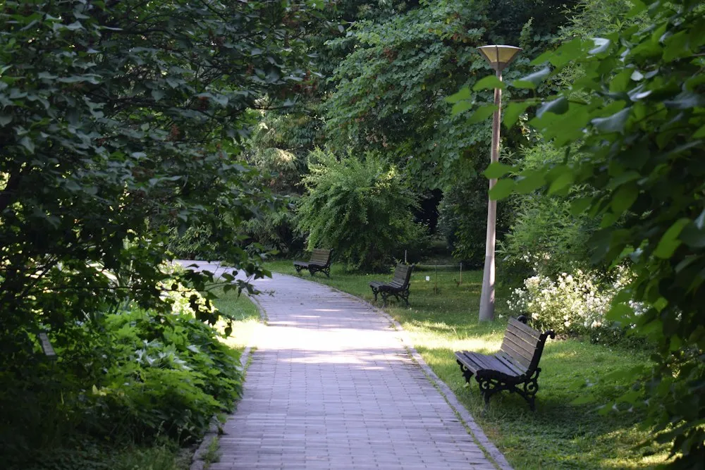 Park path and benches