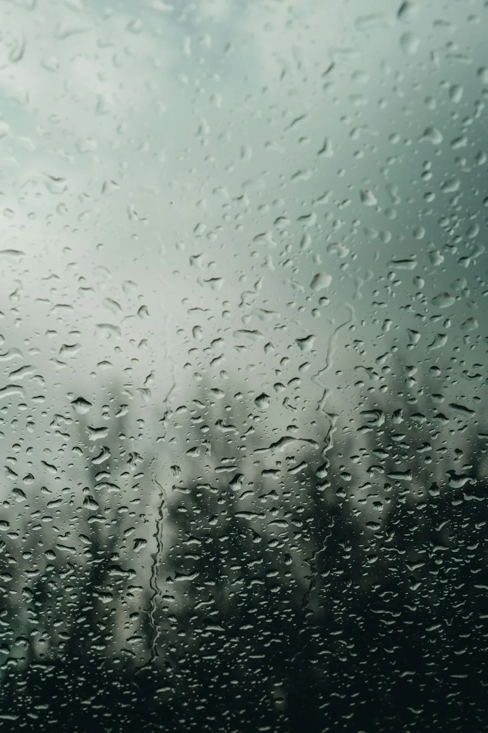 Rain on a home window with trees outside