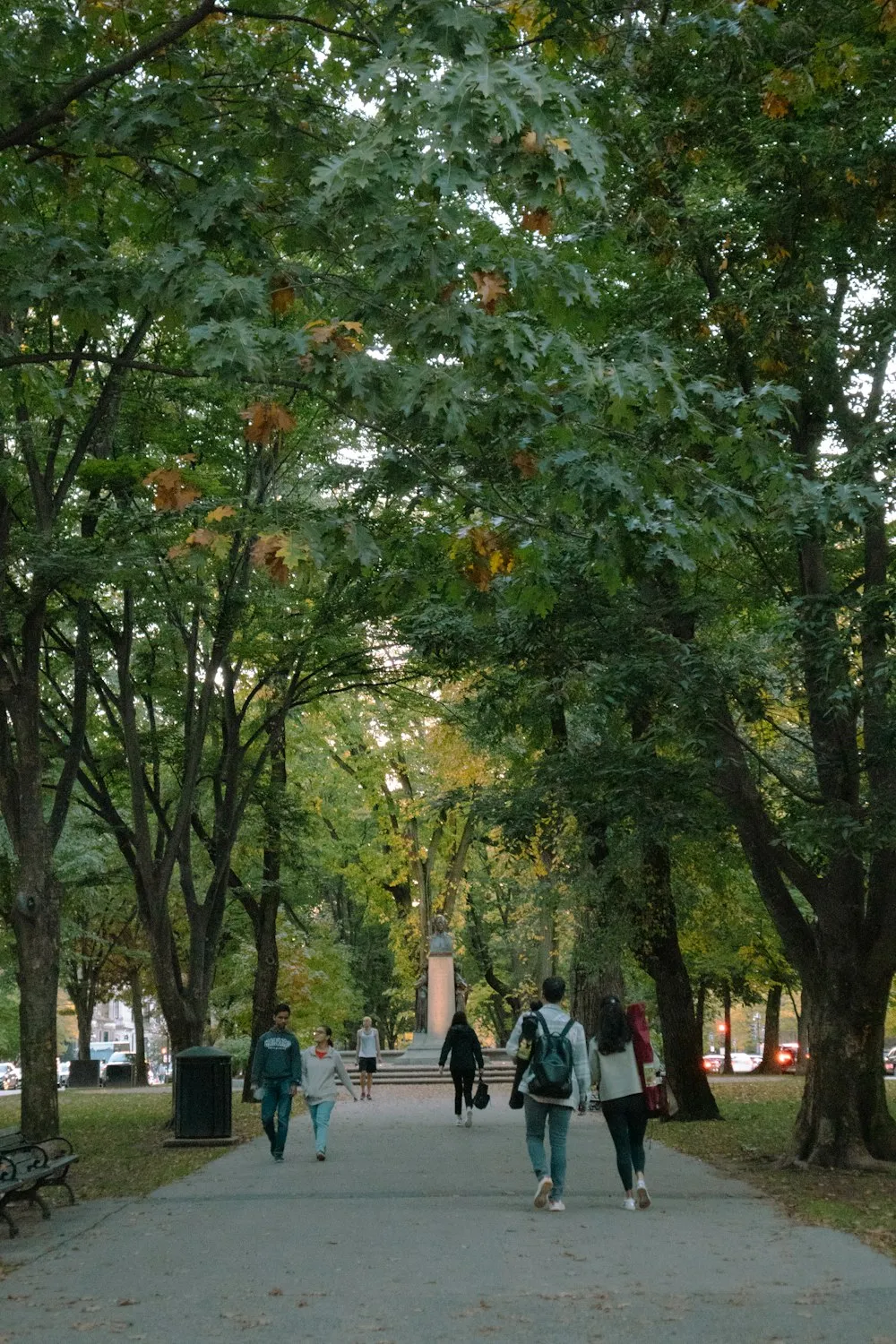 People walking together on a tree-lined park path